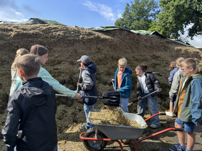 mf_B229A964-CF4B-409C-B482-B5E2BD33E769_L0_001