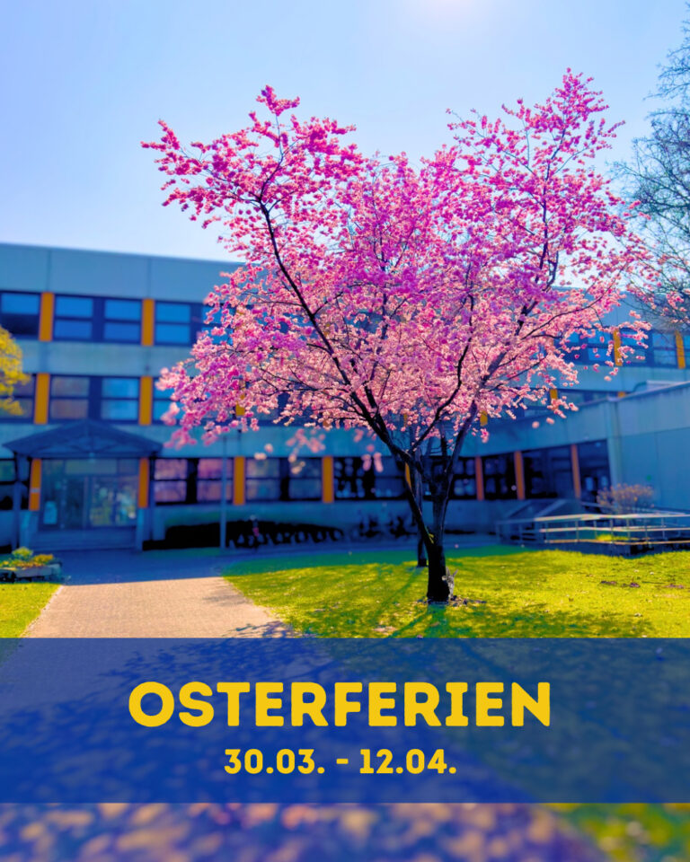 Rosa Papier Blumen Frühling Ferien Facebook Post